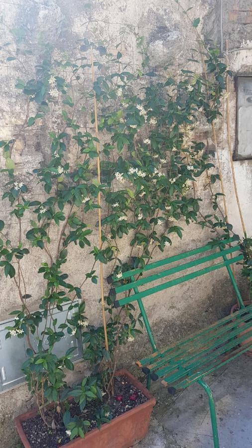 La Casetta Del Pellegrino Apartment Poggio Bustone Bagian luar foto